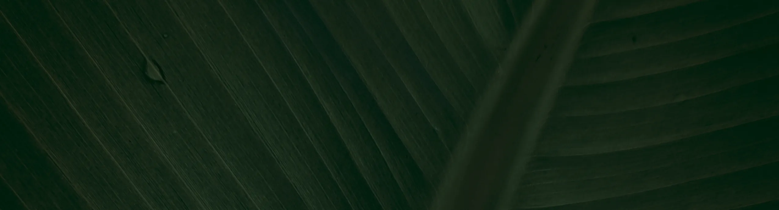 GREATLAB PULOT PUKYUTAN