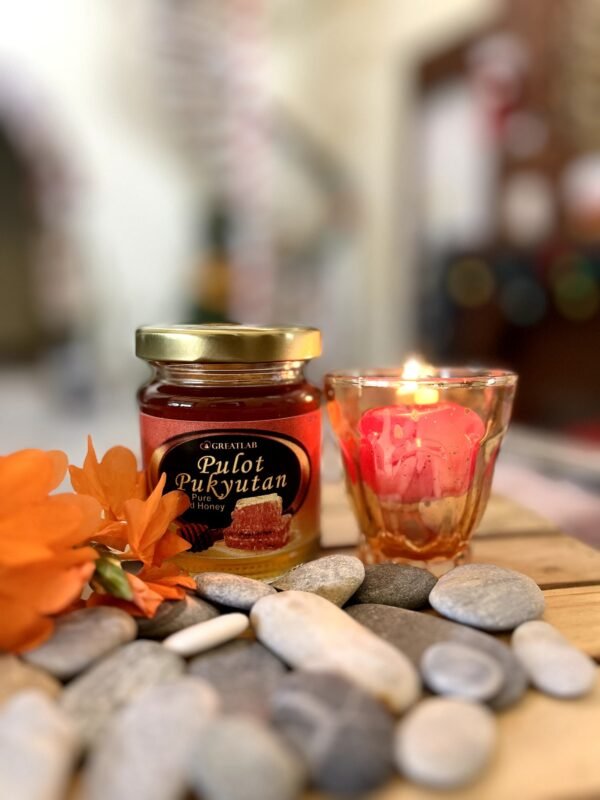 GREATLAB PULOT PUKYUTAN